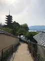牡蠣祝の写真_457356