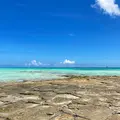奥武島の畳石の写真_457379