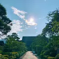善光寺の写真_457498