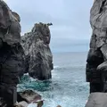 城ヶ崎海岸の写真_457801