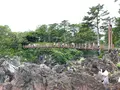 城ヶ崎海岸の写真_457802