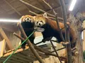 伊豆シャボテン動物公園の写真_457806