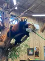 伊豆シャボテン動物公園の写真_457807