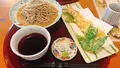 明日葉の写真_457817