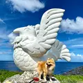 辺戸岬の写真_458374