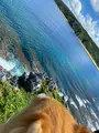 辺戸岬の写真_458375