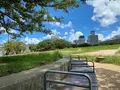新都心公園の写真_458395