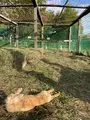 レークヒル・ファームの写真_458561