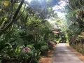 ビオスの丘の写真_458978
