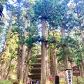 羽黒山五重塔の写真_459240