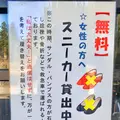 羽黒山の写真_459241