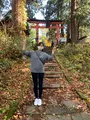 出羽三山神社の写真_459244