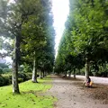 新宿御苑の写真_459388