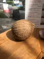 【閉業】キッピーズ ココクリームの写真_459434