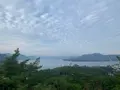 向上寺の写真_459572