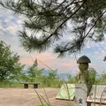 向上寺の写真_459574