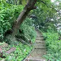 向上寺の写真_459581