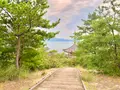 向上寺の写真_459582