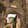 Castello di Giulio IIの写真_459865