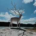 白い鹿のオブジェの写真_459867