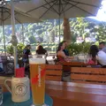 Schnitzelhaus Alte Münzの写真_459985