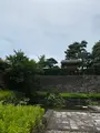 福井城址の写真_460319