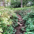 天女山の写真_460596