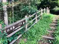 天女山の写真_460597