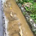 旧湯川家屋敷の写真_460663
