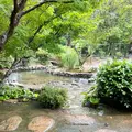 旧湯川家屋敷の写真_460664