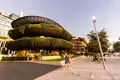 Barangaroo Houseの写真_461048