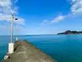 原岡桟橋の写真_461092