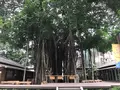 台中文学館の写真_461278