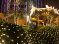 澳門葡京酒店の写真_461545
