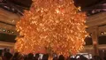 Wynn - DRAGON OF FORTUNEの写真_461584