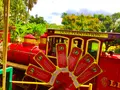 Dole Plantationの写真_462265