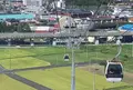 伊豆の国パノラマパークの写真_462601