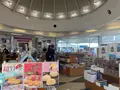 多々羅しまなみ公園の写真_462767