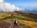 栗駒山の写真_463384