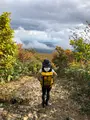栗駒山の写真_463387