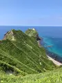 神威岬の写真_463429