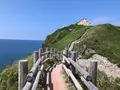 神威岬の写真_463432