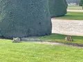 アンヴァリッド廃兵院の写真_463536