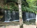 白糸の滝の写真_463588