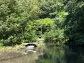 軽井沢野鳥の森の写真_463614