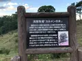 浅間牧場の写真_463621