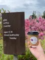 グリムコーヒーロースター(GLIM)の写真_463914