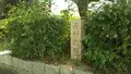 長洲荘跡碑の写真_463925