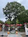 金蛇水神社の写真_464131