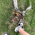 グリーンピア岩沼の写真_464136